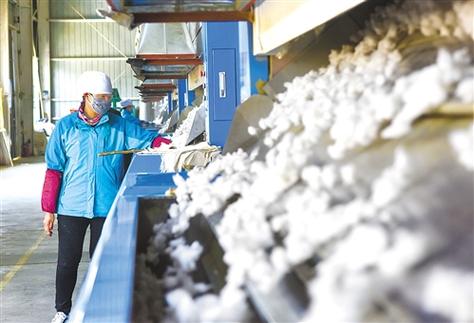 中国棉花供需基本平衡 现状、挑战与未来展望